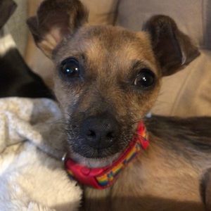 Meet your Posher, Joseph